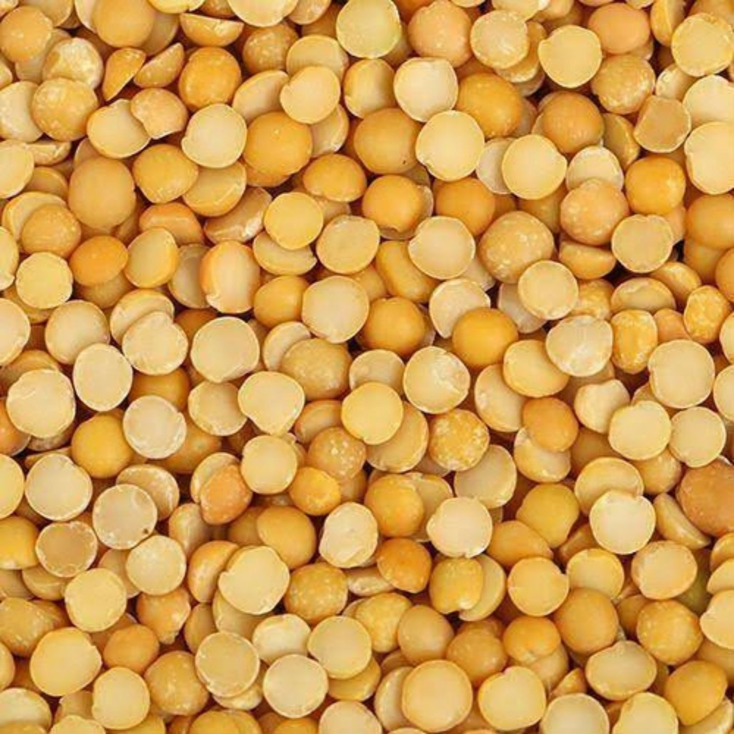 MATAR DAAL
