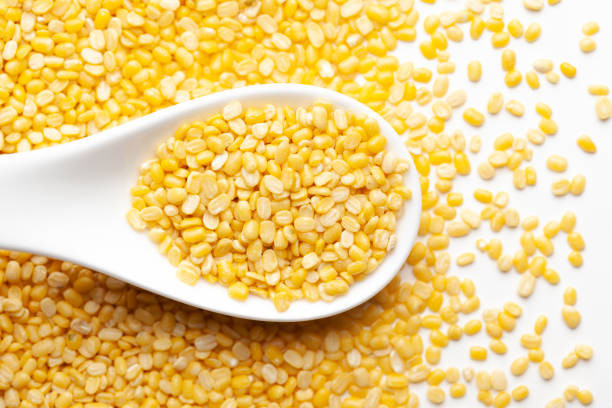 MOOG DAAL