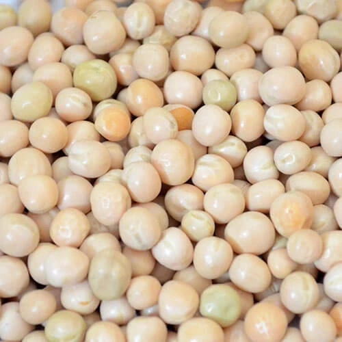 KHADA MATAR