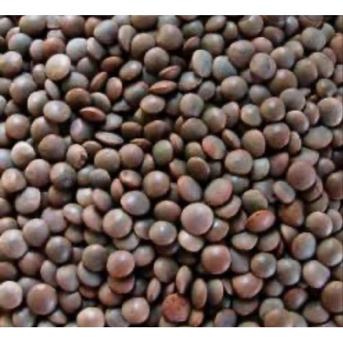 MASOOR DAAL CHILKA