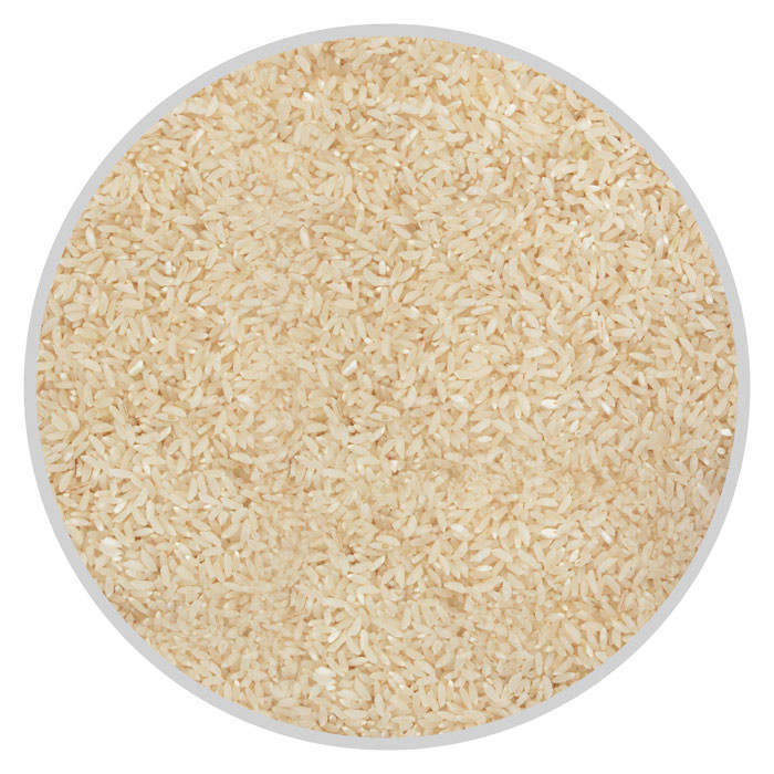 KALA NAMAK RICE